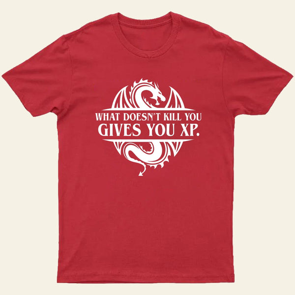 What Doesnt Kill You Give You Experience T-Shirt