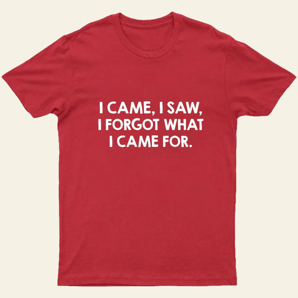 I Came and Saw Nerd T-Shirt