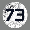 Sheldon Cooper's 73 T-Shirt